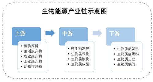 合成生物技術(shù)多維賦能能源領(lǐng)域 專訪合成生物學(xué)競(jìng)賽評(píng)委呂雪峰